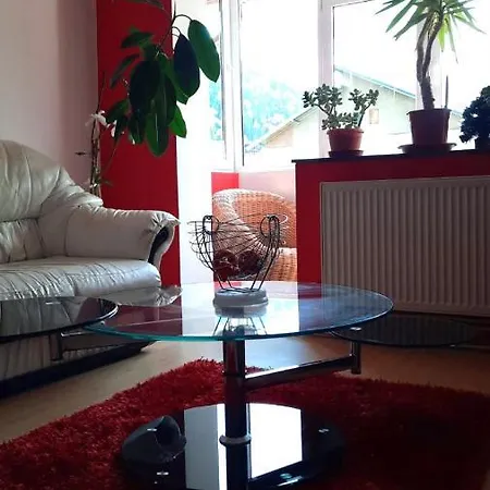 Mountain Escape Apartment Sinaia